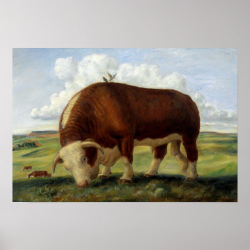 Vintage painting of a Hereford bull Poster