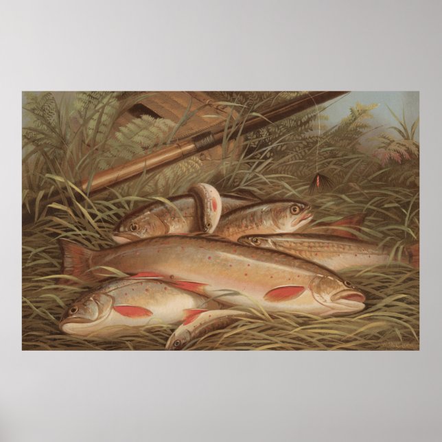 Vintage Painting of Caught Brook Trout (1868) Poster (Front)