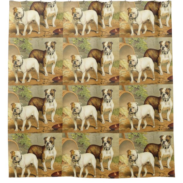 Vintage Painting of English Bulldogs Shower Curtain (Front)