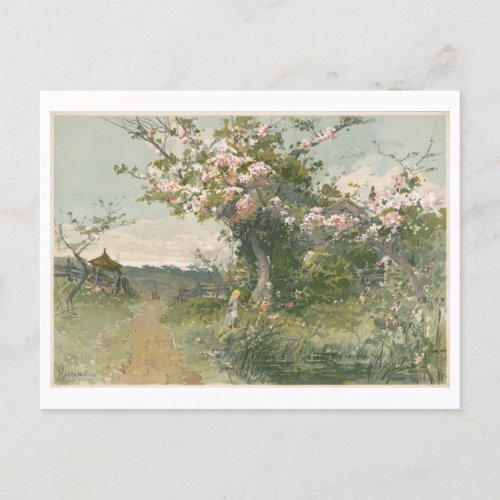 Vintage Painting Spring with Cherry Blossoms Postcard
