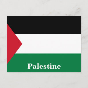 Vintage Palestine State Flag Travel Tourism Postcard