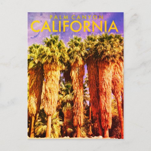 Vintage Palm Canyon Travel Postcard