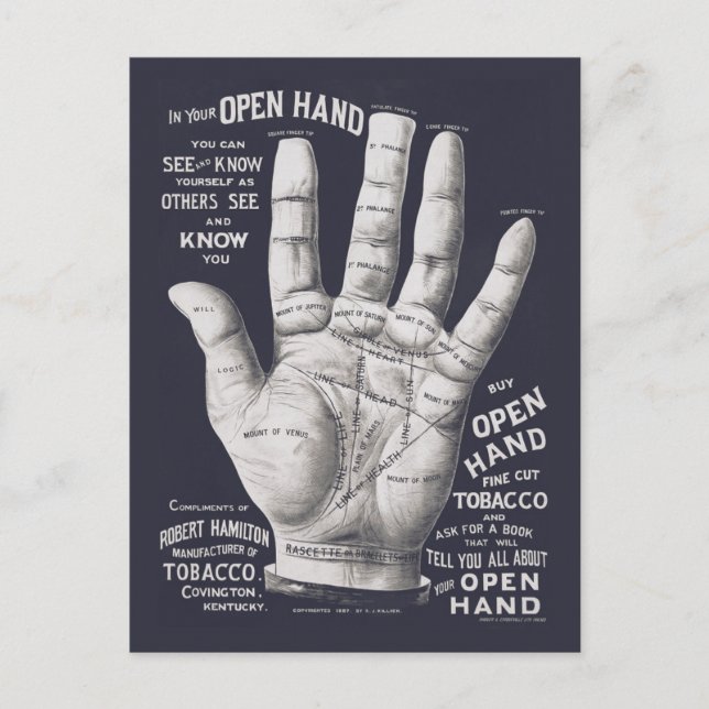 Vintage Palm Reading Illustration Diagram Postcard (Front)