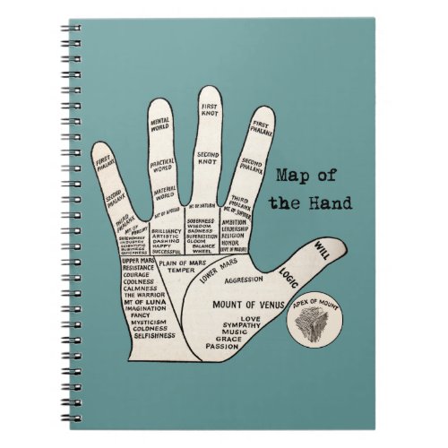 Vintage palm reading palmistry fortune notebook