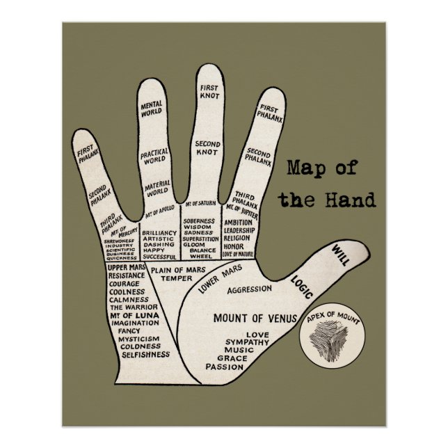 Vintage palm reading palmistry fortune poster (Front)