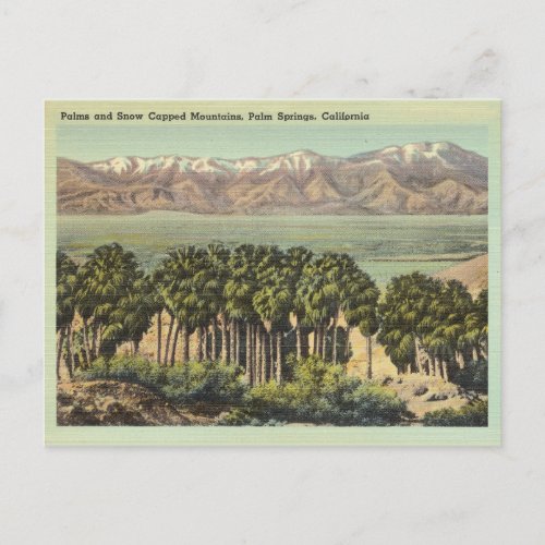 Vintage Palm Springs California Landscape Postcard