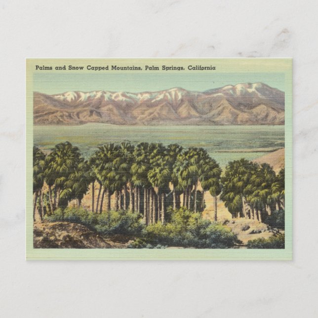 Vintage Palm Springs California Landscape Postcard (Front)