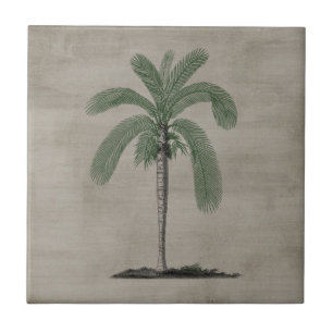 Vintage Palm Tree Ceramic Tile