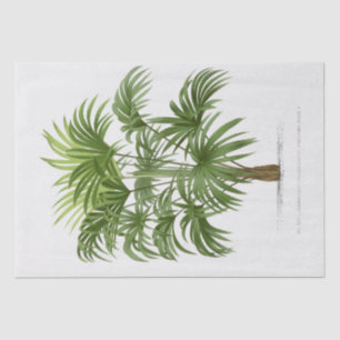 Vintage Palm Tree Tissue Paper