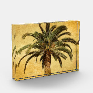 Vintage Palm Tree - Tropical Customized Template Acrylic Award