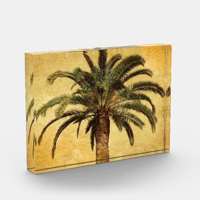 Vintage Palm Tree - Tropical Customized Template Acrylic Award (Left)