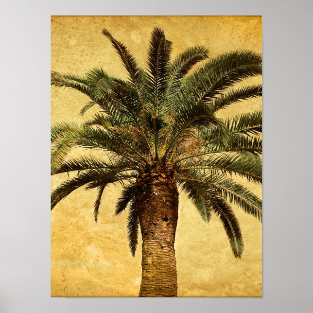 Vintage Palm Tree - Tropical Customized Template Poster (Front)