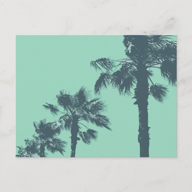 Vintage Palm Trees Postcard (Front)