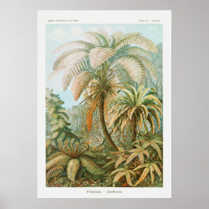 Vintage Palm Trees, Retro Botanical Poster