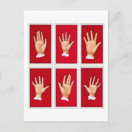 Vintage Palmistry Hands Postcard