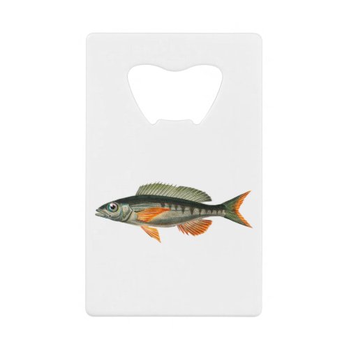 Vintage Pandora fish illustration Credit Card Bottle Opener