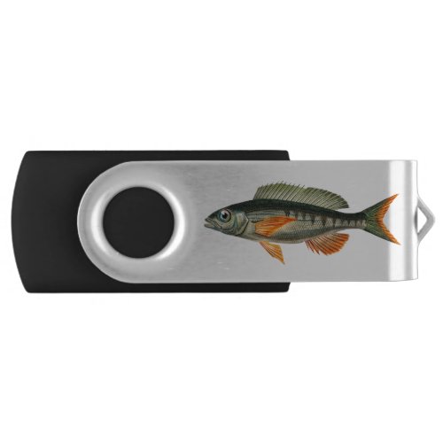 Vintage Pandora fish illustration Flash Drive