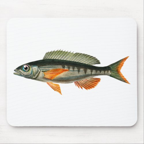 Vintage Pandora fish illustration Mouse Pad