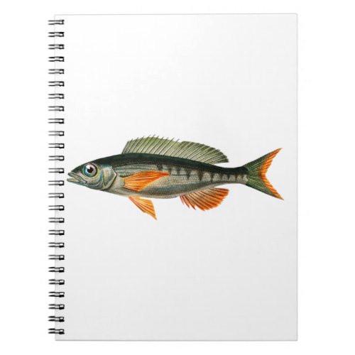 Vintage Pandora fish illustration Notebook