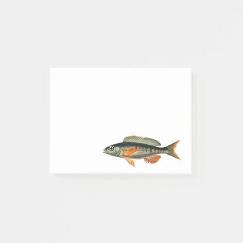 Vintage Pandora fish illustration Post_it Notes