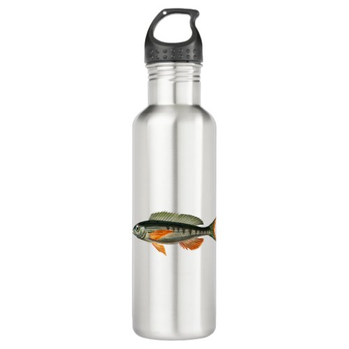 Vintage Pandora fish illustration Stainless Steel Water Bottle