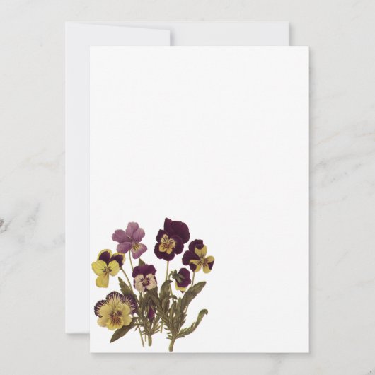 Vintage Pansies in Bloom, Floral Garden Flowers (Front)