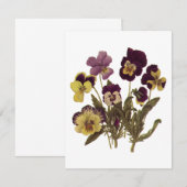 Vintage Pansies in Bloom, Floral Garden Flowers (Front/Back)