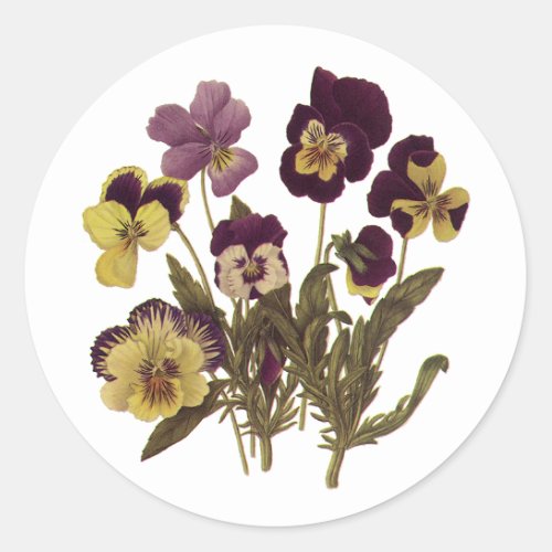Vintage Pansies in Bloom Floral Garden Flowers Classic Round Sticker