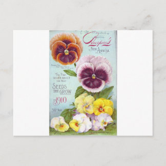 Vintage Pansies Postcard