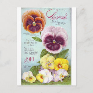 Vintage Pansies Postcard