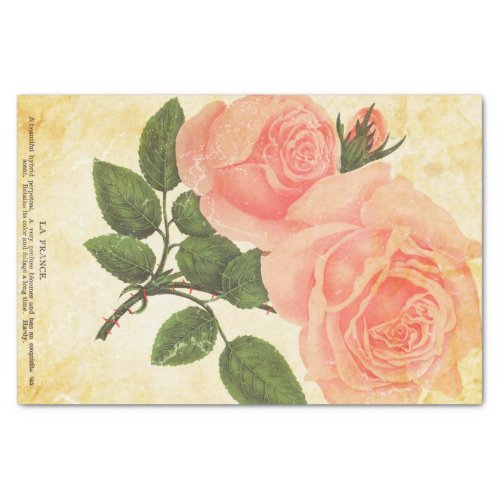 Vintage Paper French Roses