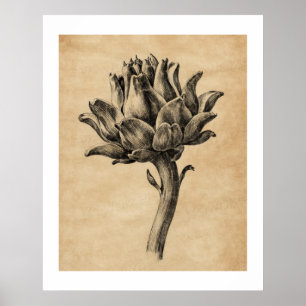 Vintage paper texture Artichoke by Jean Bernard Poster