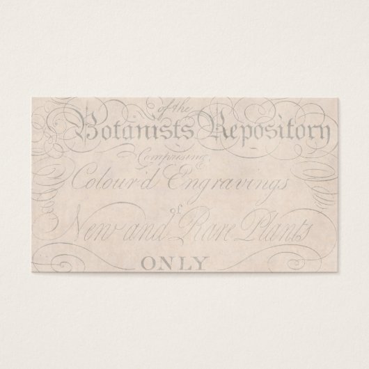 Vintage Parchment Botanical Script 1700s Template (Front)