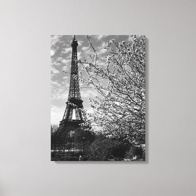 Vintage Paris Eiffel Tower Canvas Print (Front)