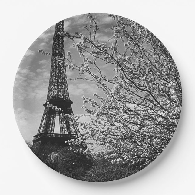 Vintage Paris Eiffel Tower Paper Plates (Front)