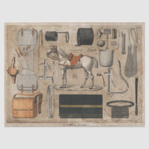 Vintage Paris Horse Tissue or Decoupage Paper