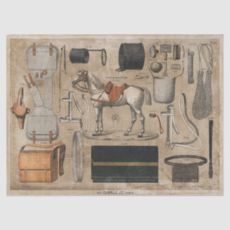 Vintage Paris Horse Tissue or Decoupage Paper