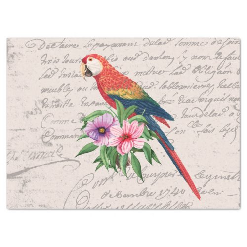 Vintage Parrot Ara Canga Floral Ephemera Decoupage Tissue Paper