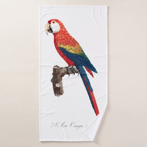 Vintage Parrot _ Birds Old Illustration Art Bath Towel Set