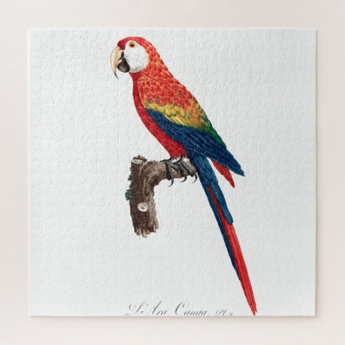 Vintage Parrot _ Birds Old Illustration Art Jigsaw Puzzle