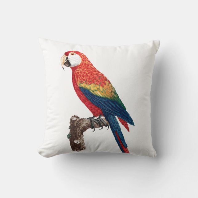 Vintage Parrot - Birds Old Illustration Art Throw Pillow (Front)