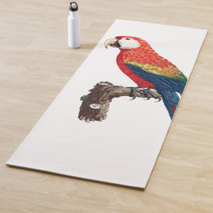 Vintage Parrot - Birds Old Illustration Art Yoga Mat