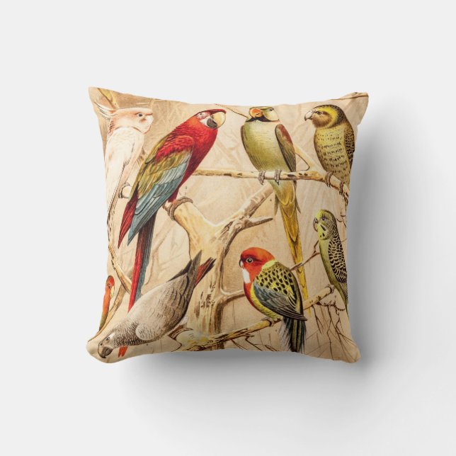 Vintage Parrot Cockatoo Conure Parakeet Cockatiel Throw Pillow (Front)