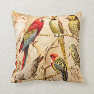 Vintage Parrot Cockatoo Conure Parakeet Cockatiel Throw Pillow