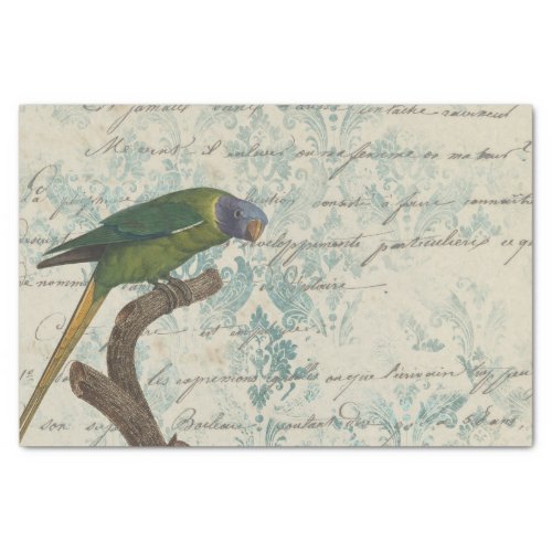 Vintage Parrot Tissue Paper