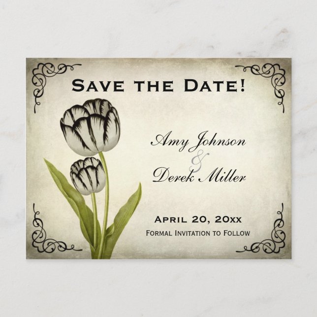 Vintage Parrot Tulip Save the Date Postcard (Front)