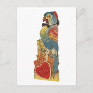Vintage Parrot Valentine Holiday Postcard