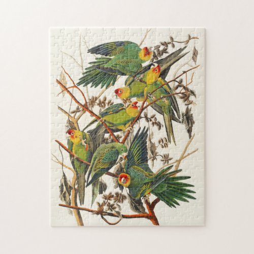 Vintage Parrots Illustration Bird Lover Gift Jigsaw Puzzle