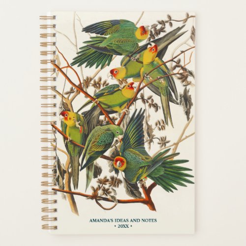 Vintage Parrots illustration Bird Lover Gift Planner