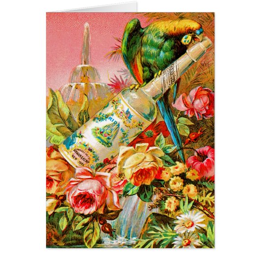 Vintage Parrott Cards (Front)